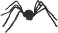 Gaint Hairy Spider