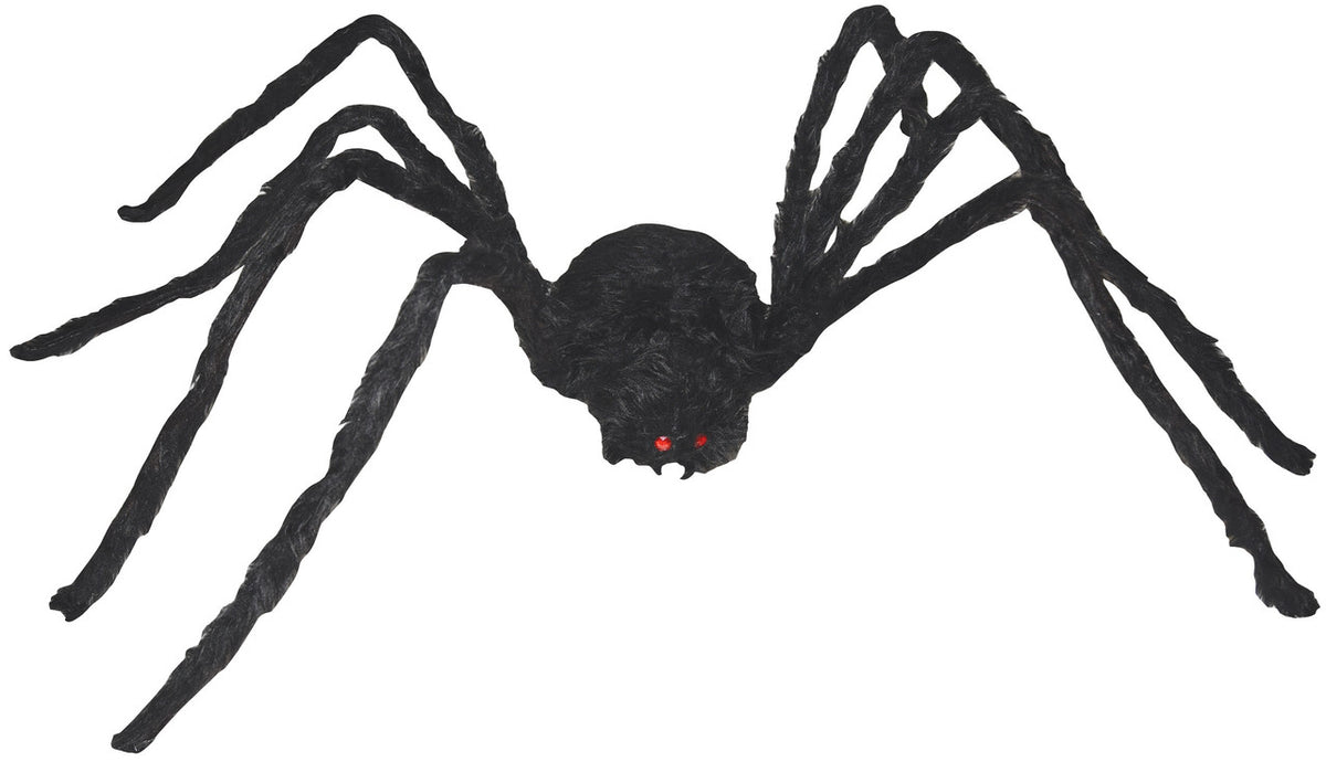 Gaint Hairy Spider