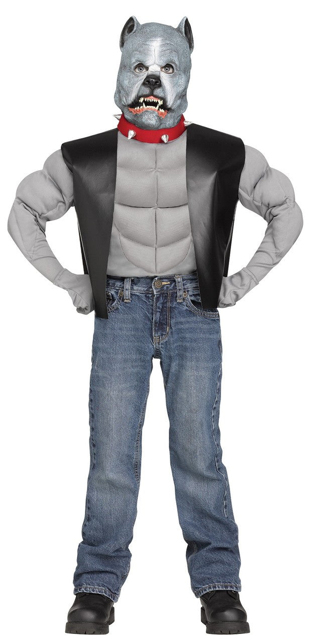 PIT BULL BIKER LARGE 10-12