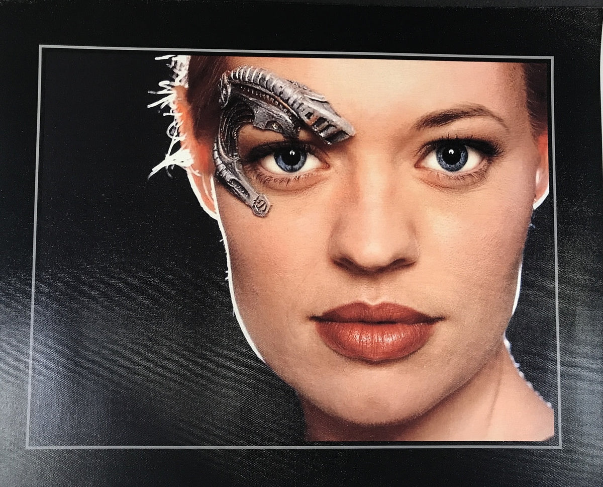 STAR TREK CANVAS PRINT 17X22