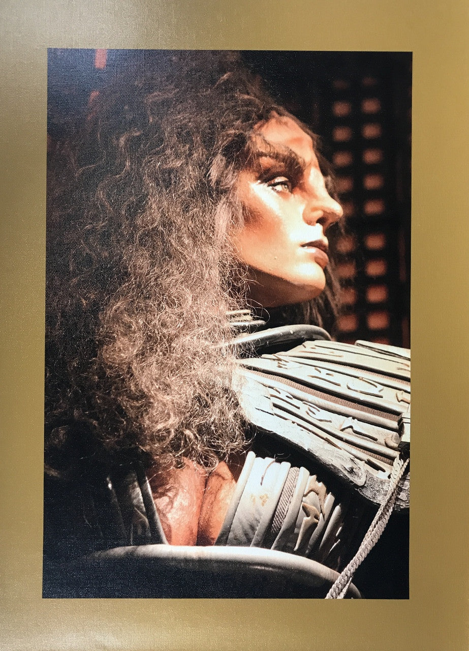 STAR TREK CANVAS PRINT 16X22