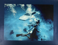 JAMES BOND CANVAS PRINT 17X22