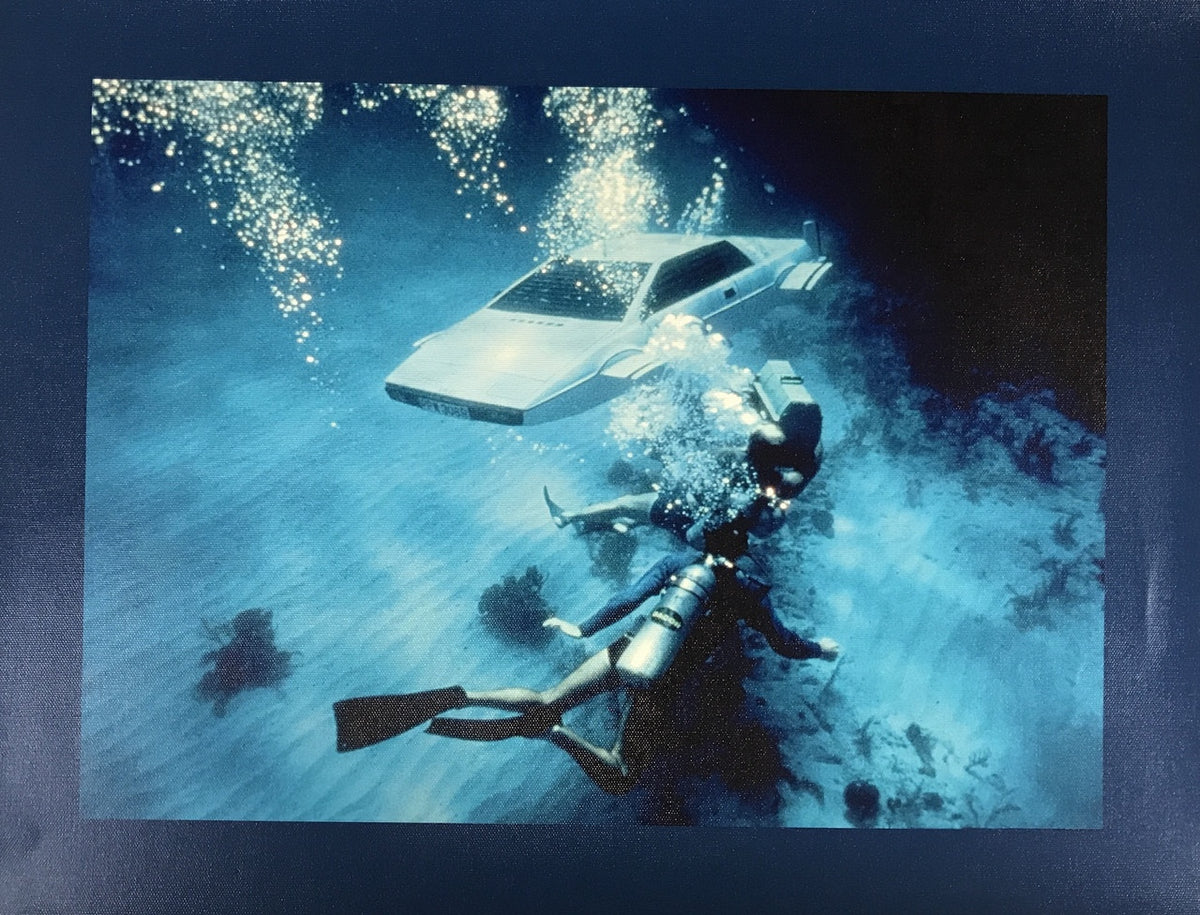JAMES BOND CANVAS PRINT 17X22