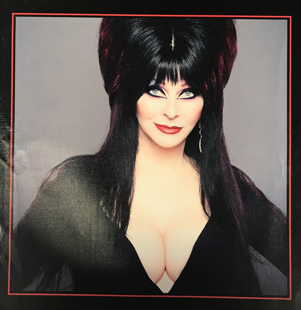 ELVIRA CANVAS PRINT 22X22