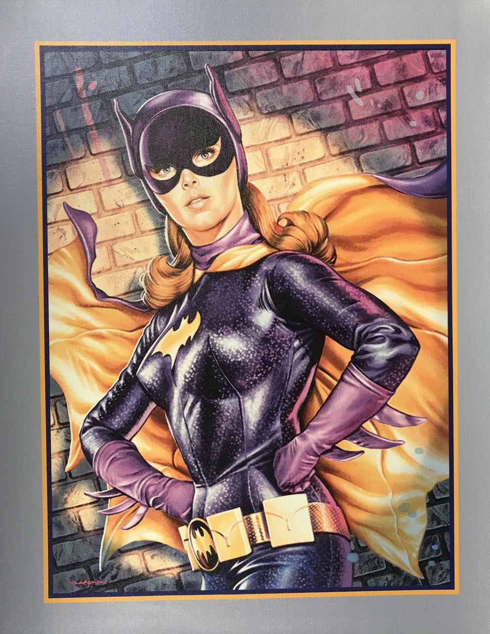CATWOMAN CANVAS PRINT 17x22