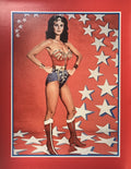 WONDER WOMEN CANVAS PRINT 17X22