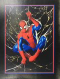 SUPIDERMAN CANVAS PRINT 16X22