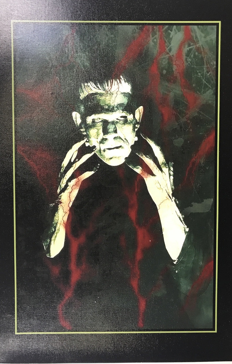 FRANKENSTEIN CANVAS PRINT 16X22