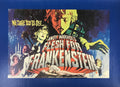 FRANKEN STEIN CANVAS PRINT16X22