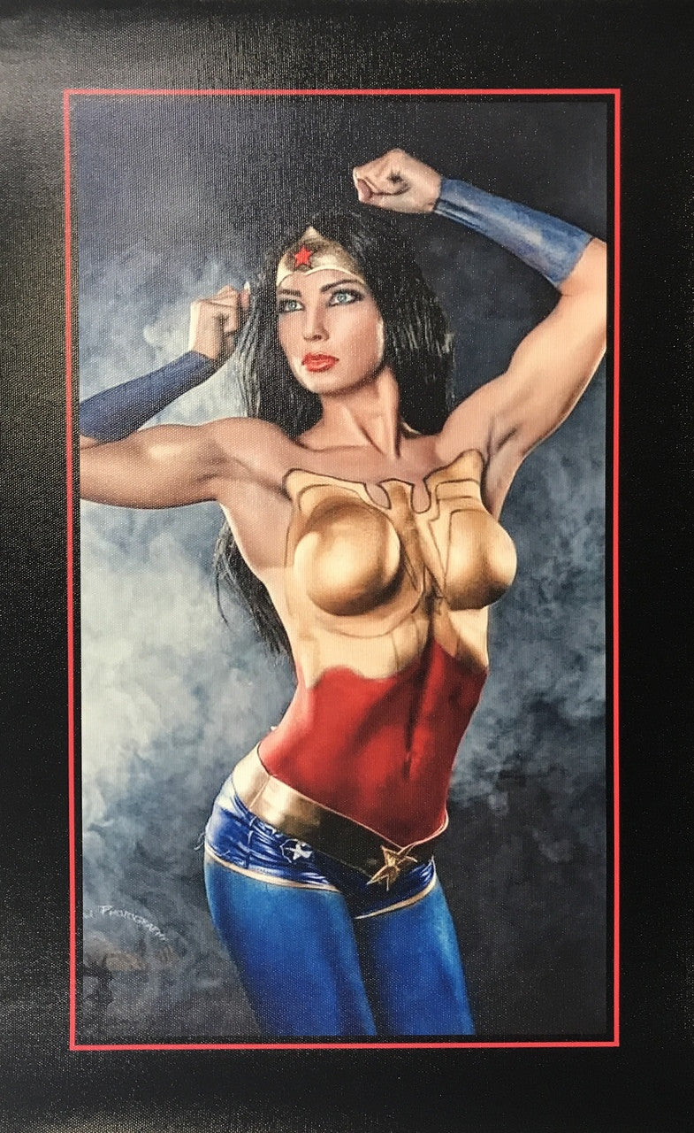 WONDER WOMAN CANVAS PRINT 14X22