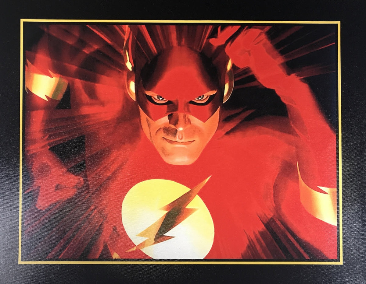 THE FLASH CANVAS PRINT 17X22