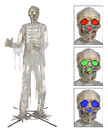 Lifesize Animated-KD Mummy