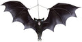 Hanging Black Bat