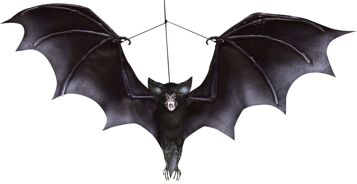 Hanging Black Bat