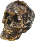 Cracked Brown Skull