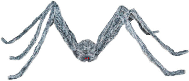 Giant Gray Spider