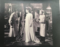 BRIDE OF FRANKENSTEIN CANVAS PRINT MEDIUM