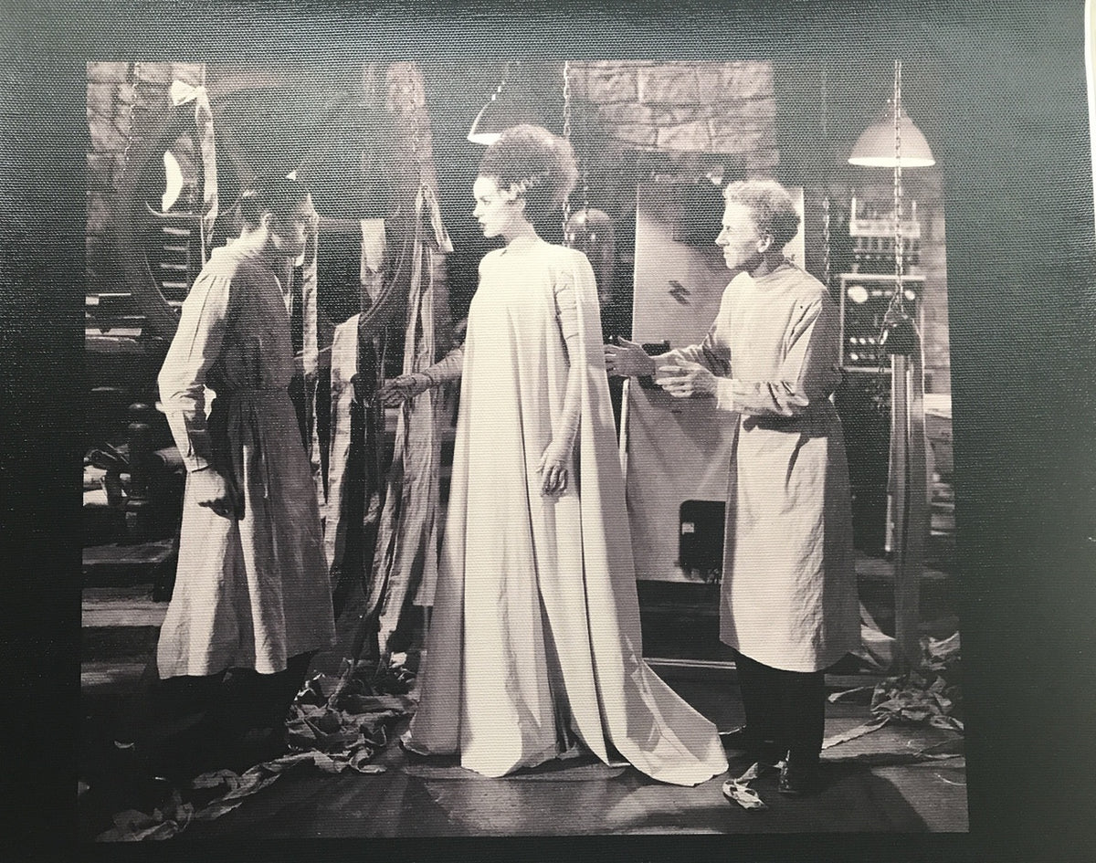BRIDE OF FRANKENSTEIN CANVAS PRINT MEDIUM
