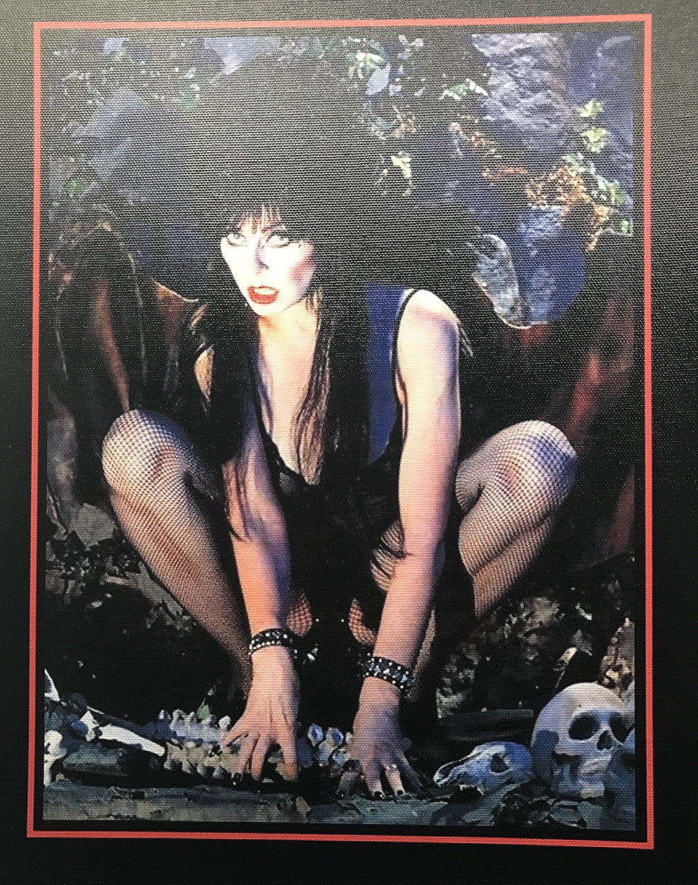 ELVIRA CANVAS PRINT MEDIUM