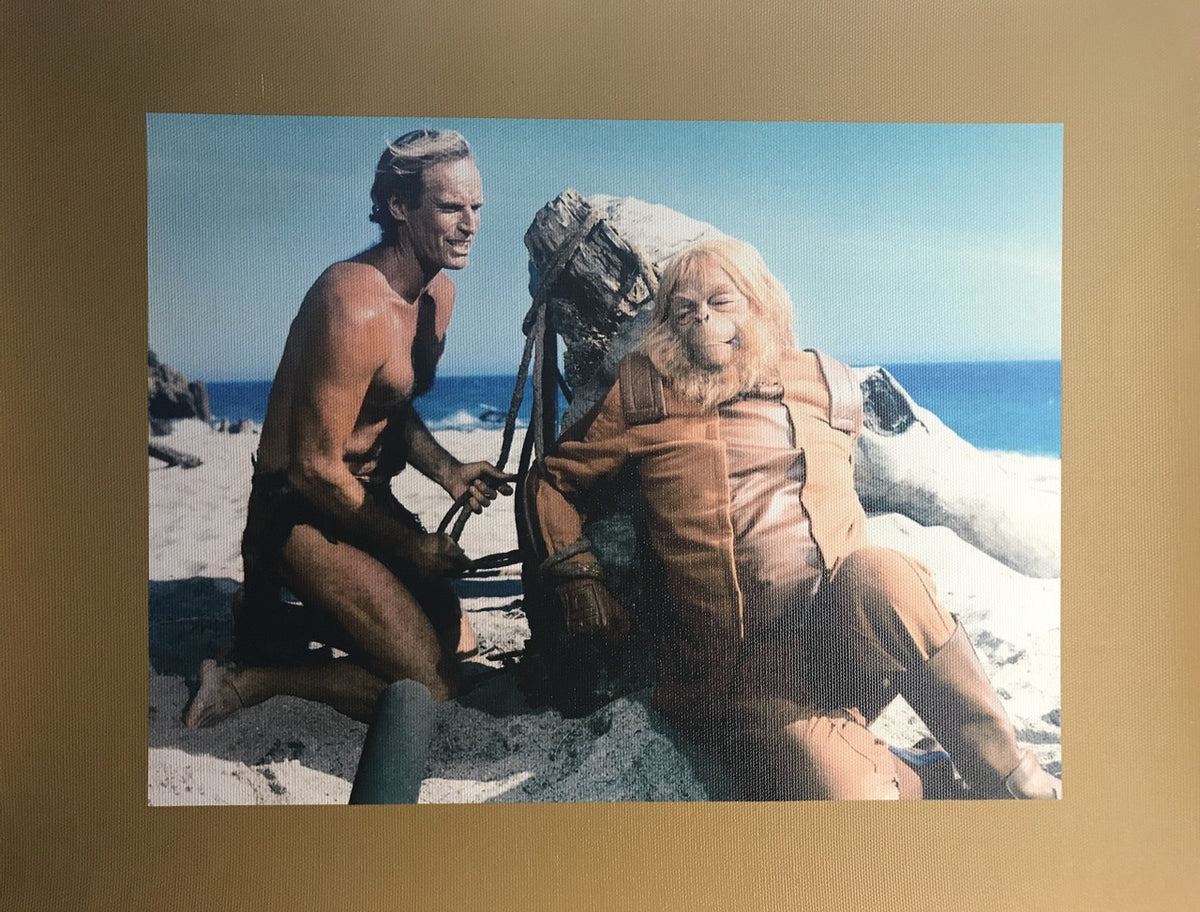 PLANET OF THE APES PRINT MEDIUM