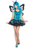 SWALLOWTAIL BUTTERFLY