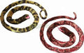 60" WILD JUNGLE SNAKE