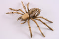 9 Inch Spider Skeleton