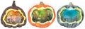 LIGHT UP PUMPKIN SCENES
