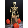 60” Articulated Natural Skeleton