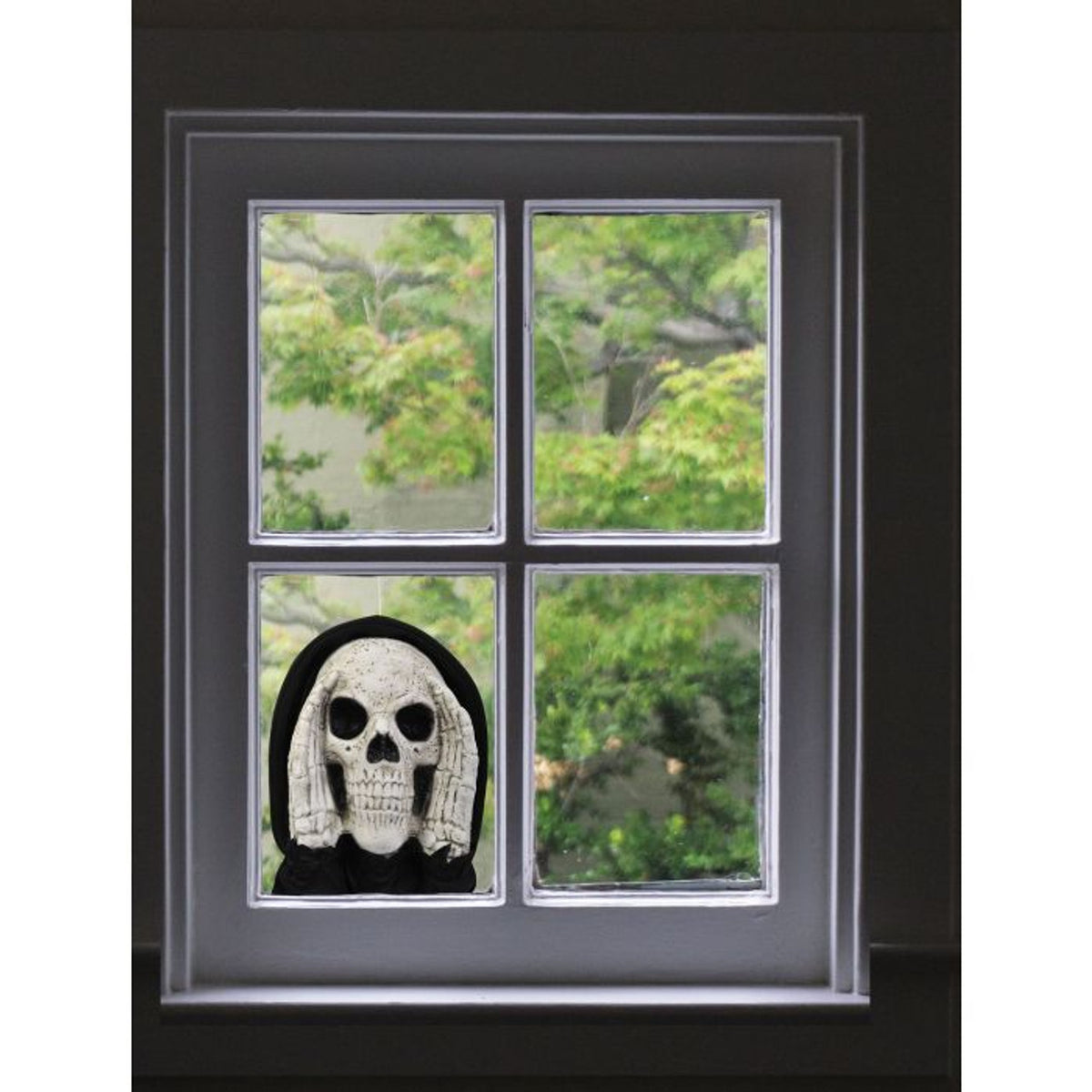 Scary Skull Window Peeper