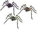 Hairy Spider