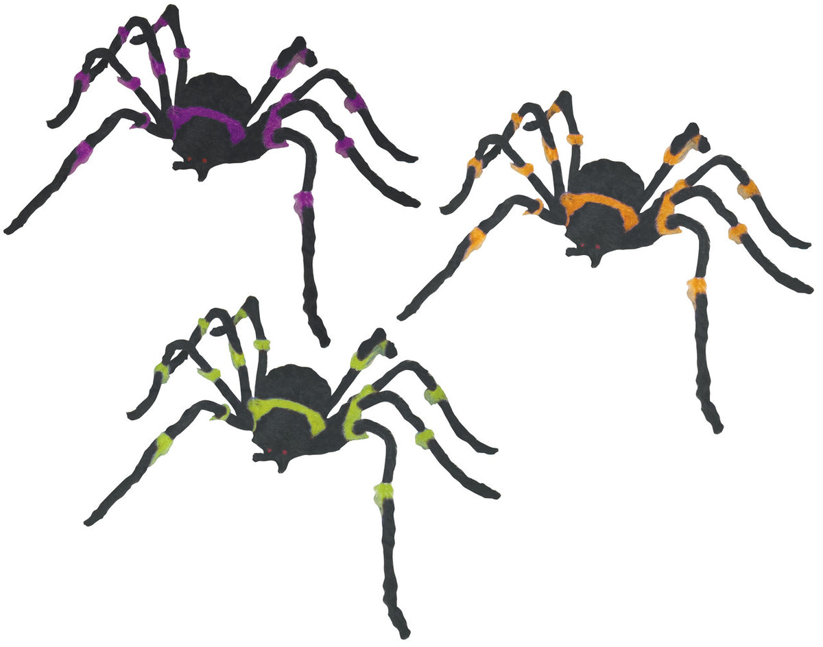 Hairy Spider
