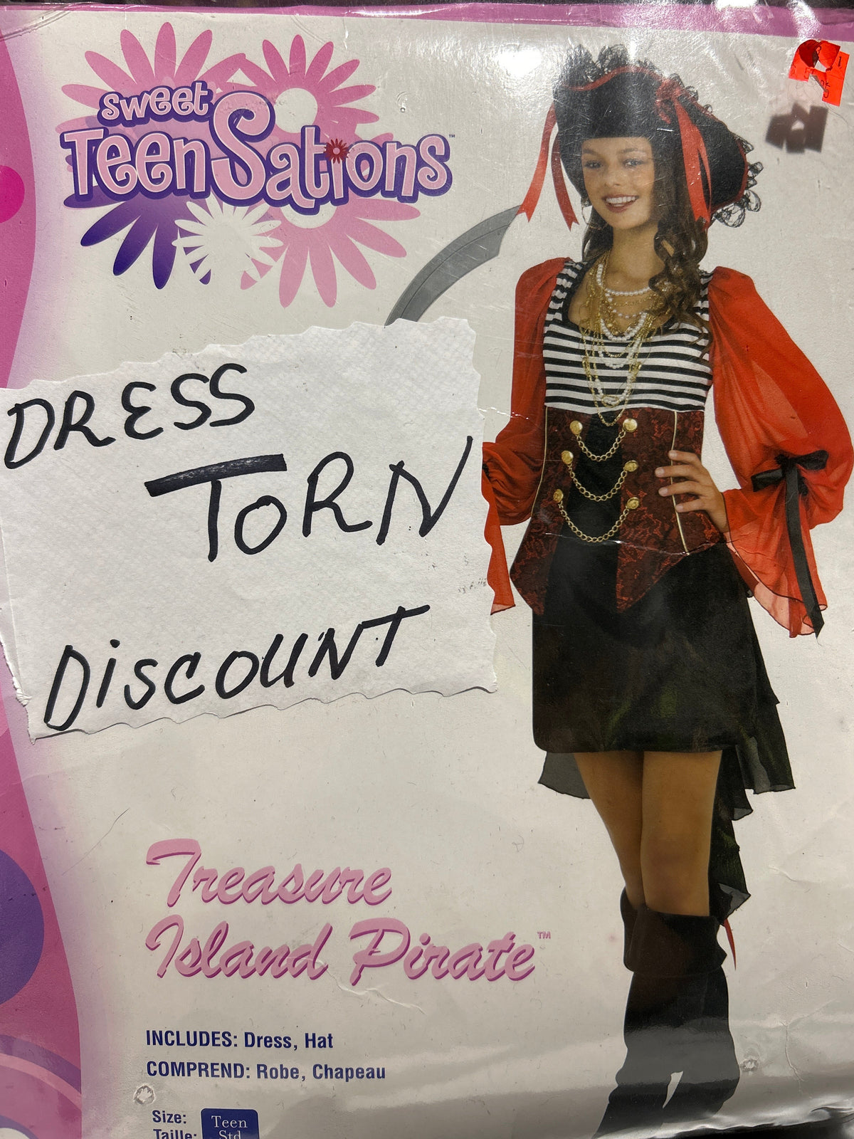 Treasure Island Pirate